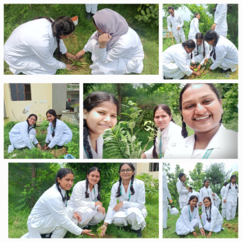 Plantation at College Campus