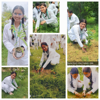 Plantation at College Campus