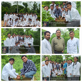 Plantation at College Campus