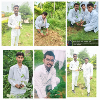 Plantation at College Campus